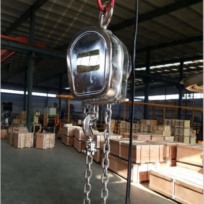 China DHS model hook type stainless steel electric chain hoist 2 ton